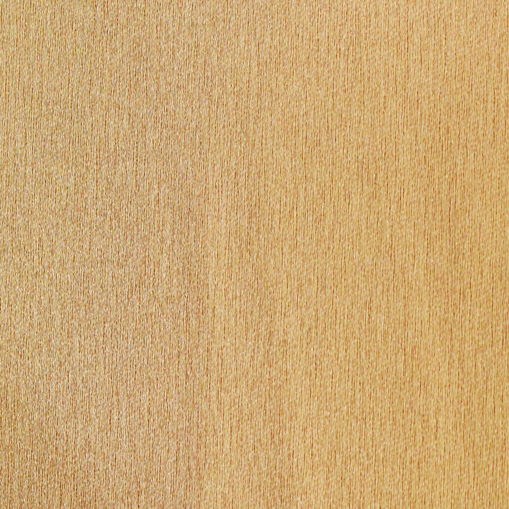 Zara Satin Back Crepe Champagne